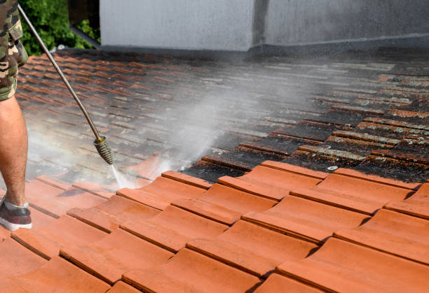 Best Garage Pressure Washing  in Ddleville, MI
