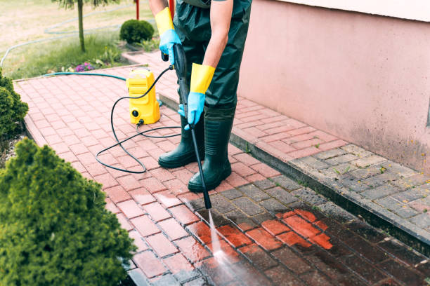 Best Residential Pressure Washing Services  in Ddleville, MI
