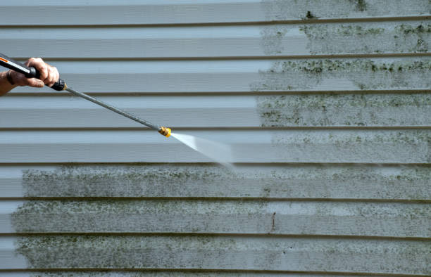Deck Cleaning Services in Middleville, MI