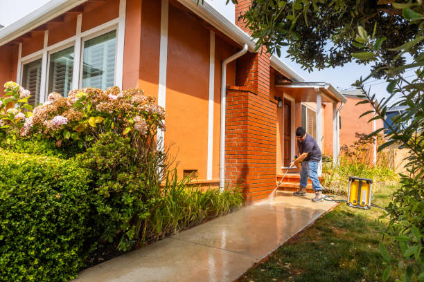 Best Sidewalk Pressure Washing  in Ddleville, MI