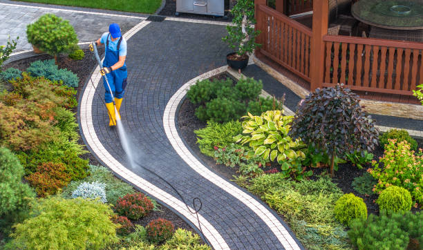 Best Local Pressure Washing Services  in Ddleville, MI