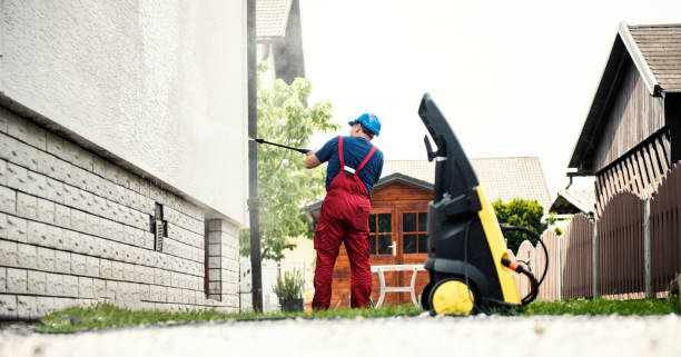 Best Roof Pressure Washing  in Ddleville, MI